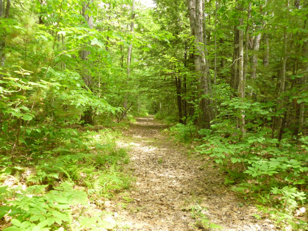 39 Sodom Road Tuftonboro, NH 03816 - Photo 31 of 33