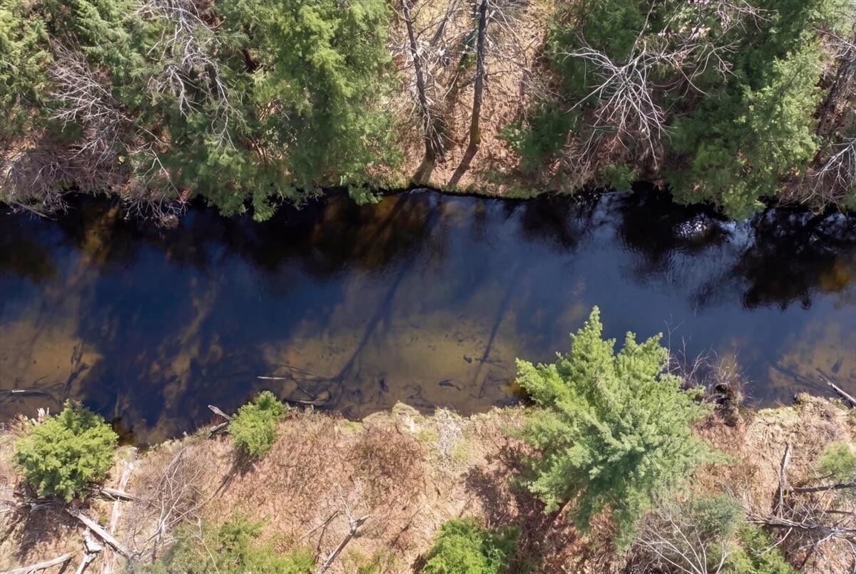 471 Bisbee Town Road Waterford, ME 04088 - Photo 7 of 79 07-exterior_creek_aerial