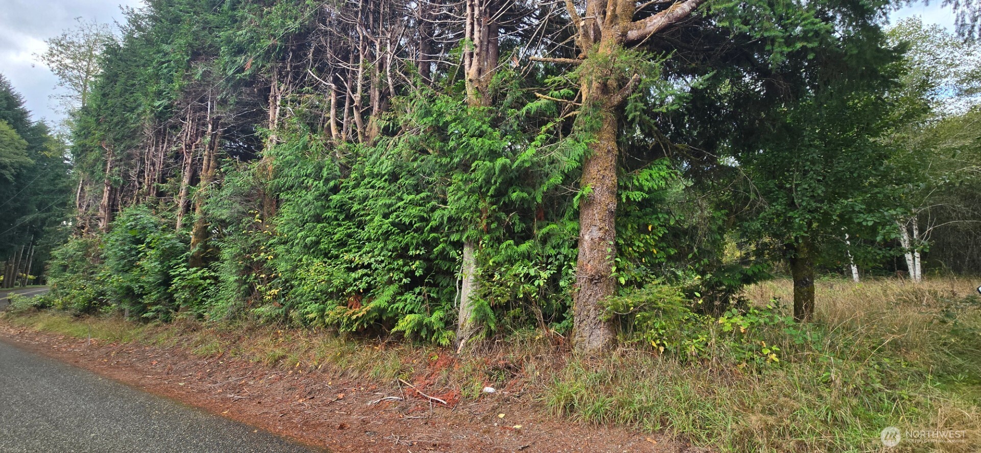 1351 Satsop Road West Montesano, WA 98563 - Photo 4 of 8 a view of a garden