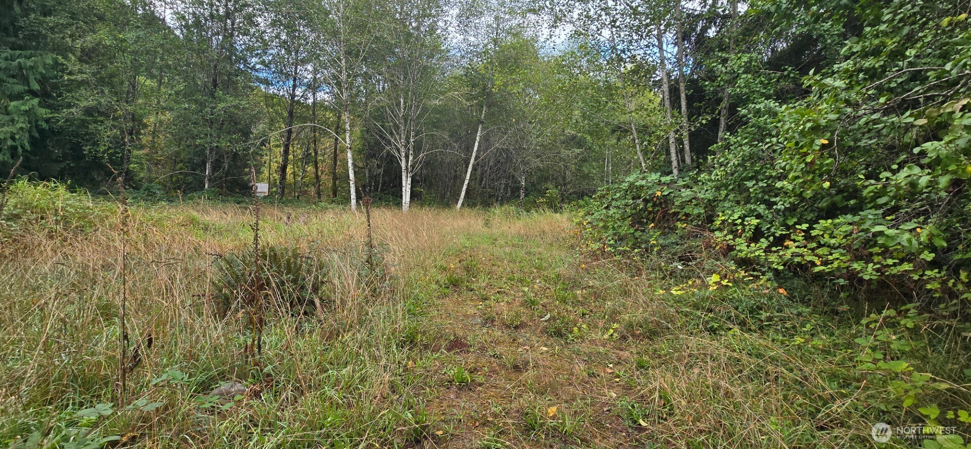1351 Satsop Road West Montesano, WA 98563 - Photo 6 of 8 a view of backyard with green space