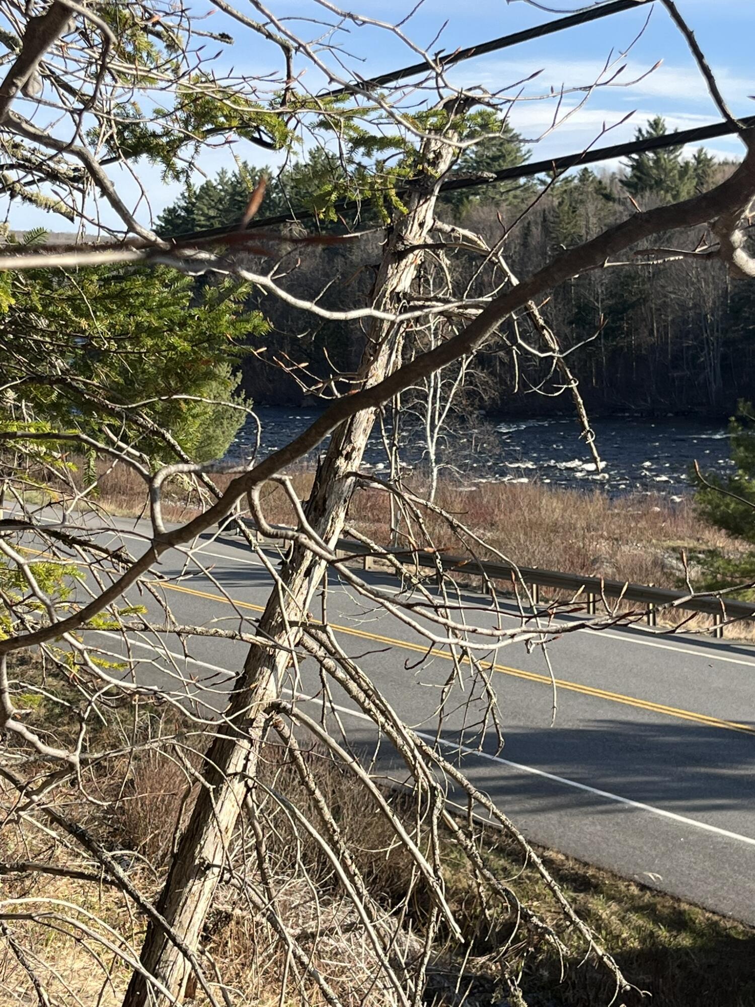 M10-l24-2s M10-l24-2s Us-201 West Forks West Forks, ME 04985 - Photo 5 of 8 Dead5