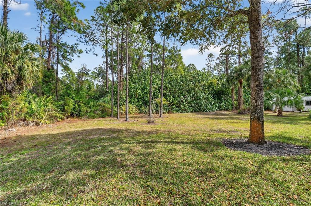 2360 19th Street Southwest Naples, FL 34117 - Photo 41 of 43 a view of yard with trees