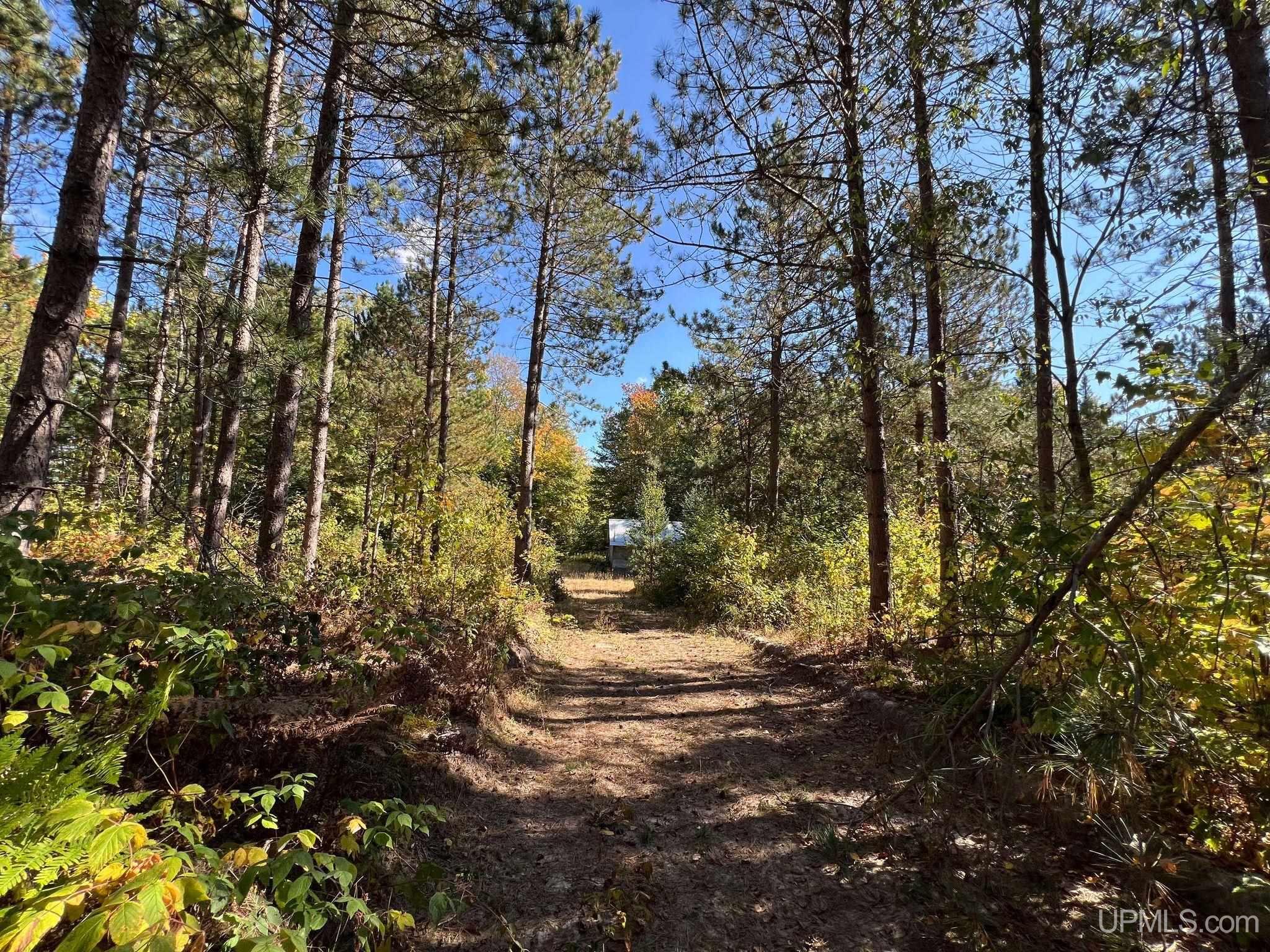 Off Usfs Trail, Unit 2440 Wetmore, MI 49895 - Photo 9 of 34