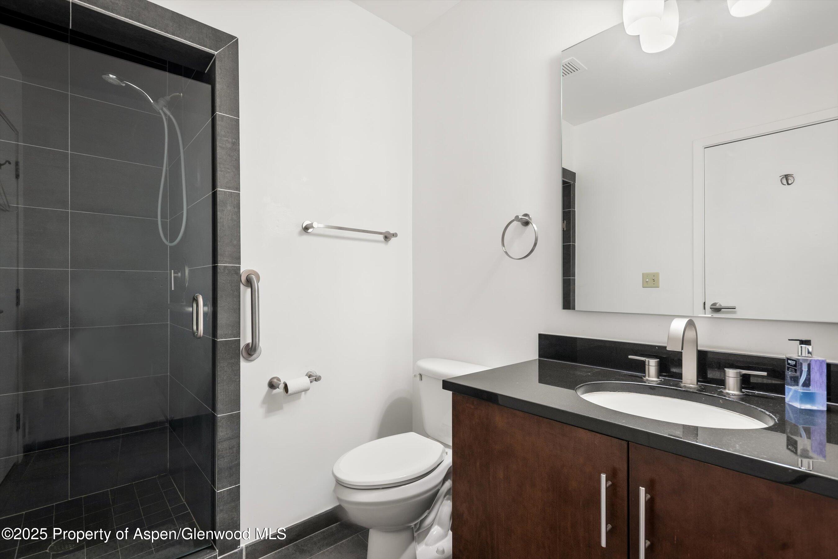 361 Robinson Street, Unit 238 Basalt, CO 81621 - Photo 23 of 34 24-361RobinsonSt238_25031424