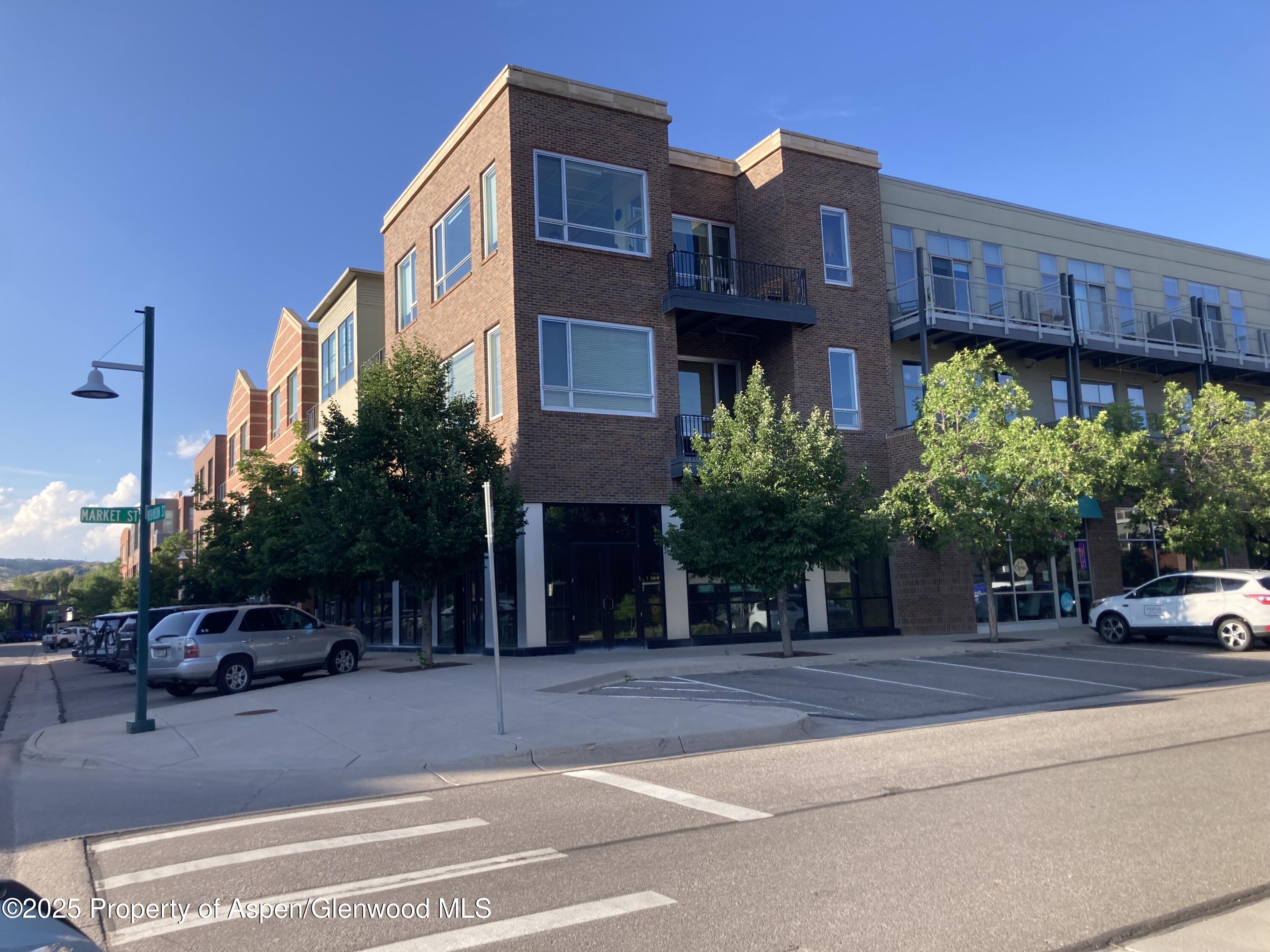 361 Robinson Street, Unit 238 Basalt, CO 81621 - Photo 34 of 34 IMG_7932