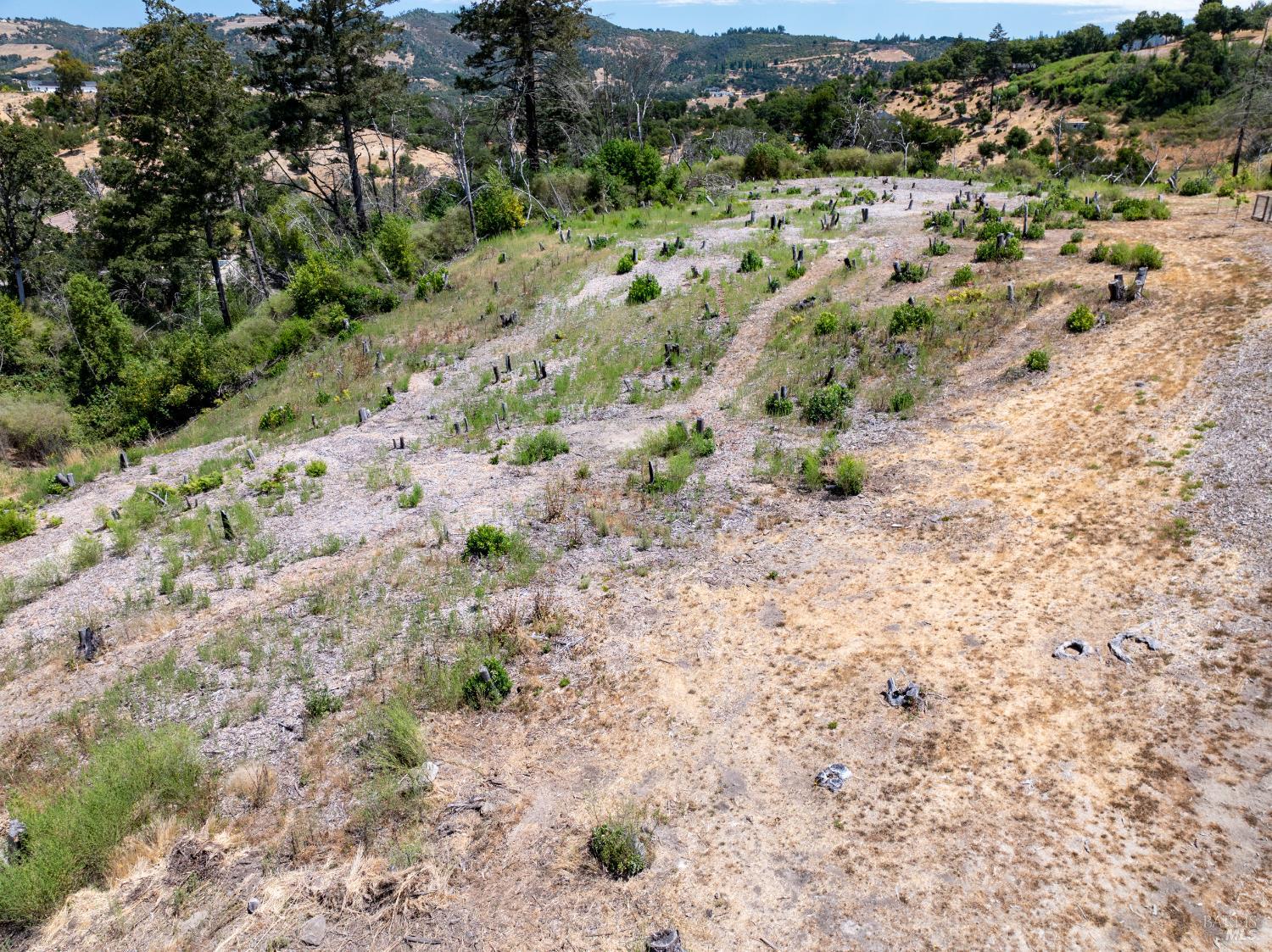 3926 Silver Fox Court Santa Rosa, CA 95403 - Photo 12 of 16 a view of a yard with a tree