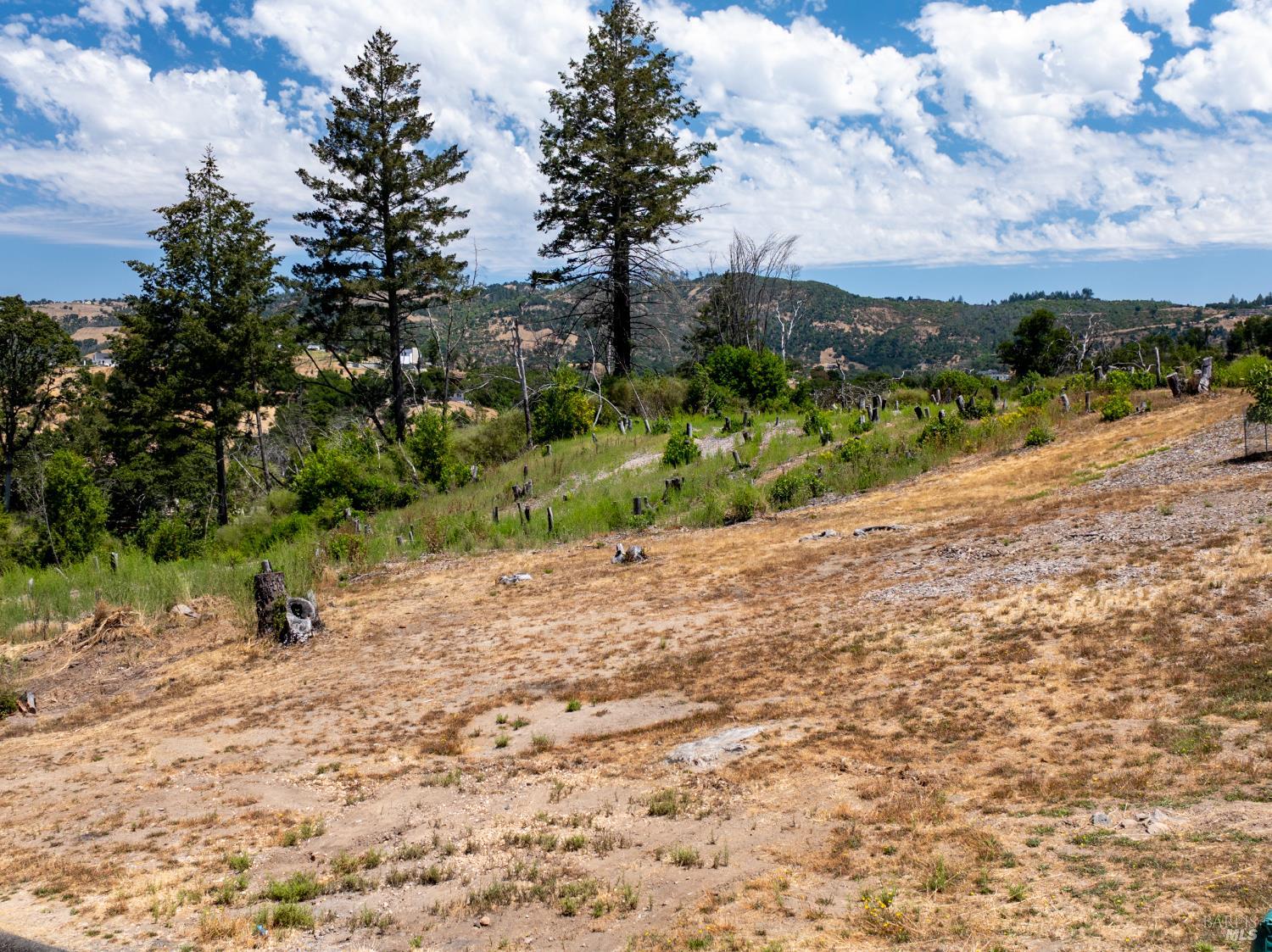 3926 Silver Fox Court Santa Rosa, CA 95403 - Photo 16 of 16 a view of a road with a yard