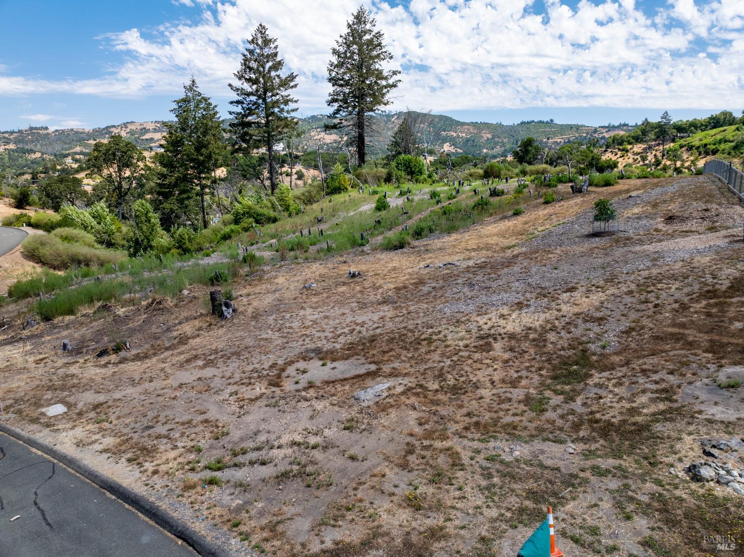 3926 Silver Fox Court Santa Rosa, CA 95403 - Photo 4 of 16 a view of a dry yard with trees in the background