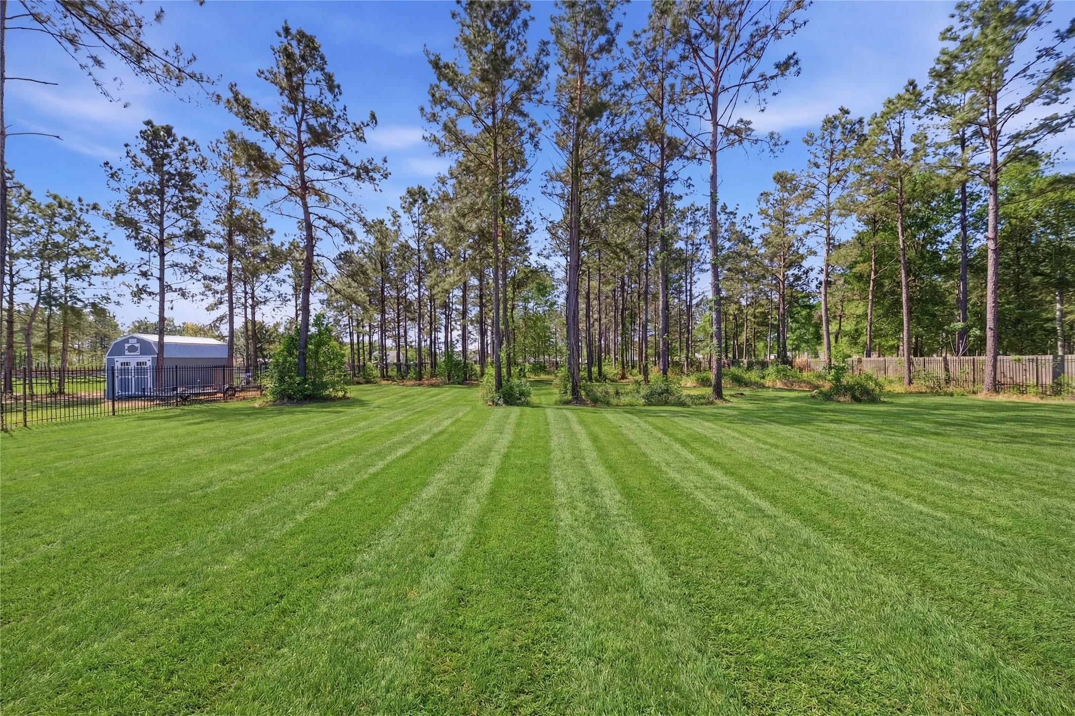 16536 Aransas Conroe, TX 77303 - Photo 31 of 40 a view of yard with green space