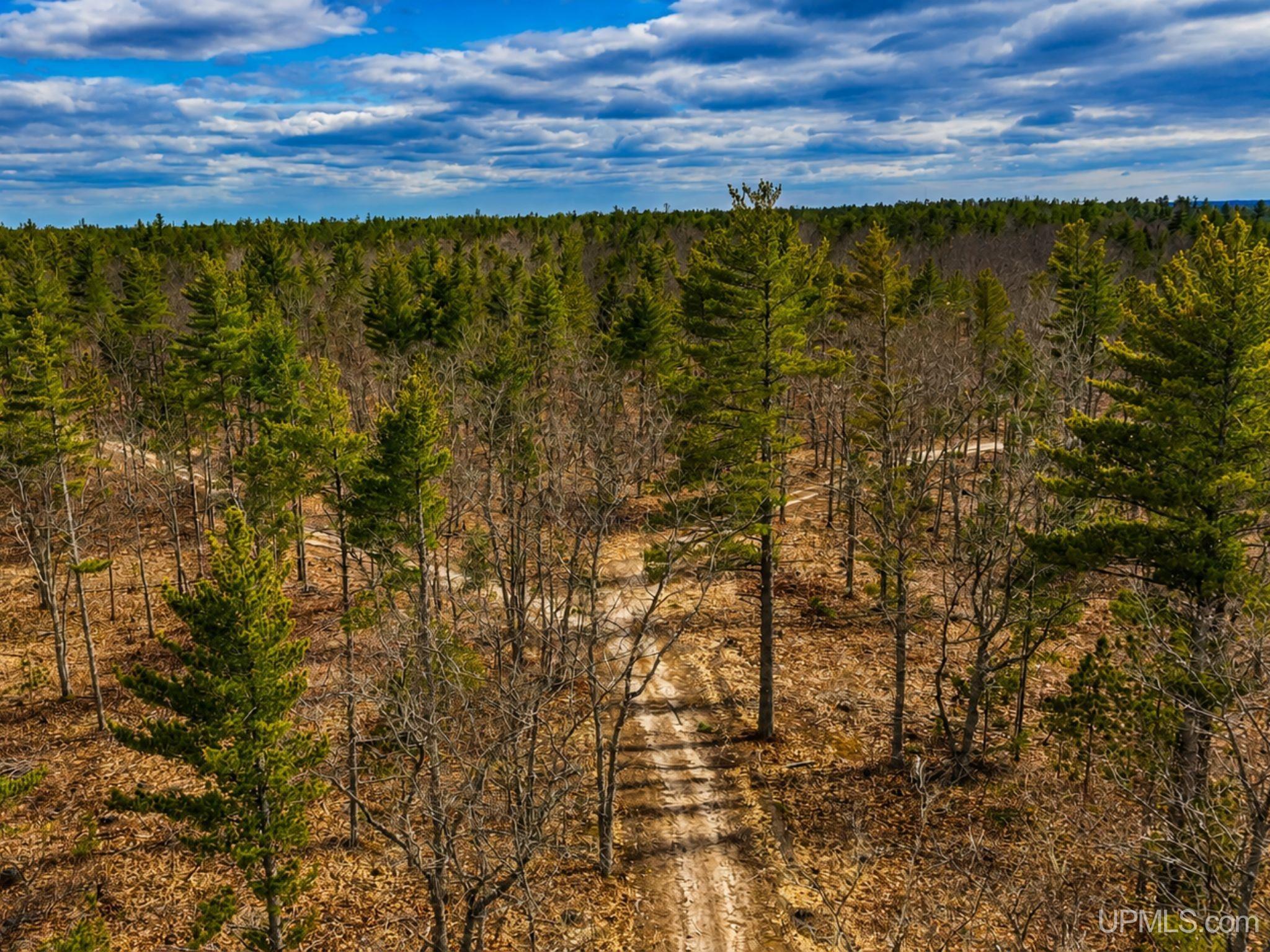 410 Rd Newberry Mi 49868 Road Newberry, MI 49868 - Photo 13 of 36