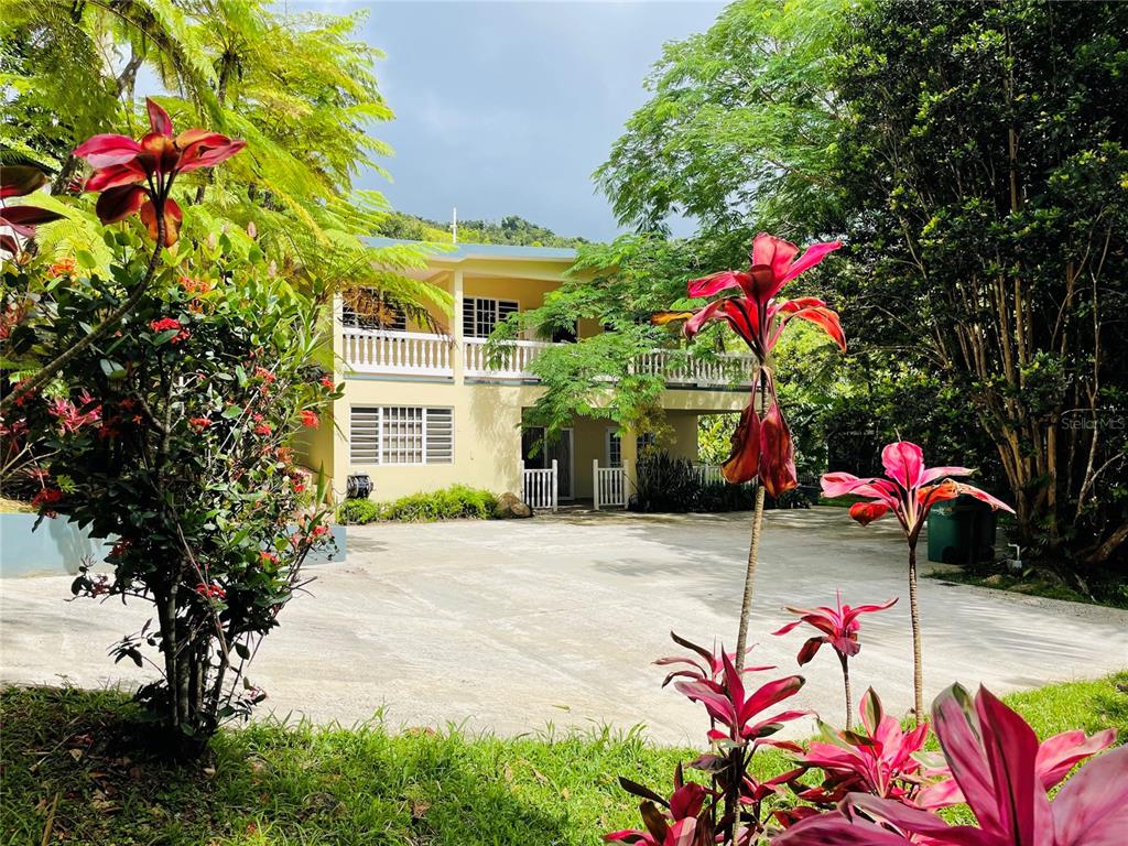 0 Bo Beatriz Cayey, PR 00736 - Photo 1 of 1