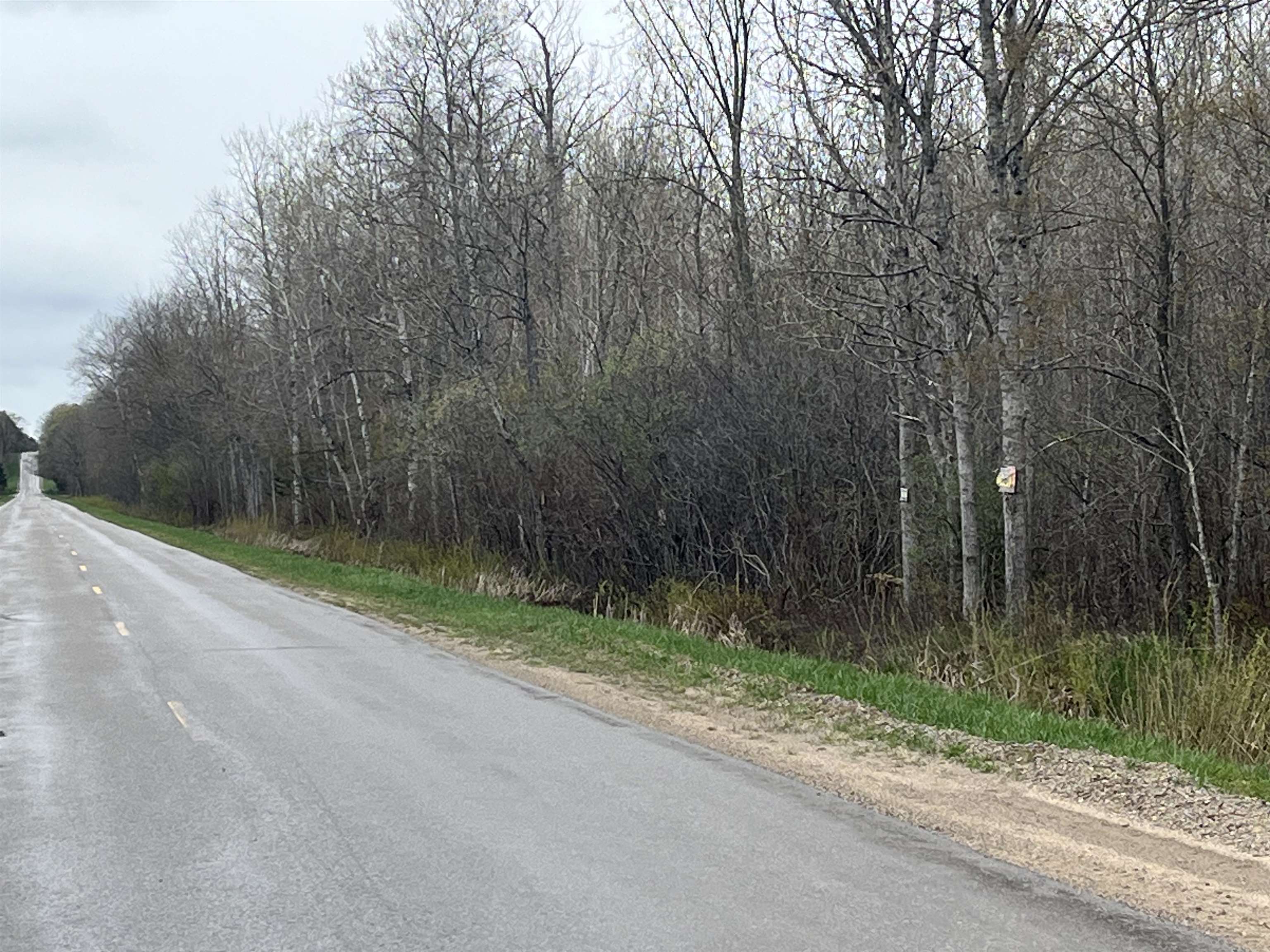 0 Wallen Road Thompsonville, MI 49683 - Photo 15 of 16 1947190-7cb9dab2-2163-46d3-a77e-f2bbc5c7e34e.JPG