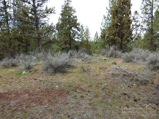3202 McClellan Road Bend, OR 97702 - Photo 23 of 25 a view of a forest with trees in the background