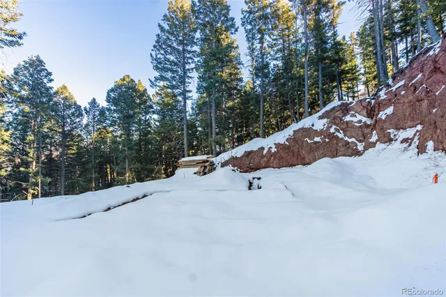 a view of a road with trees in the background