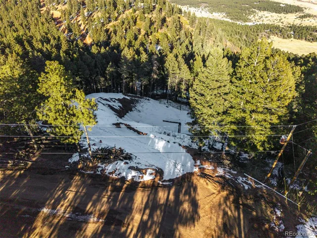 a view of a tree in a yard with potted plants