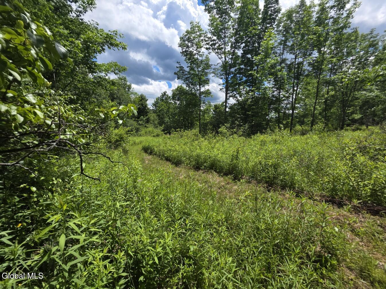 419 Halbert Hill Road Butternuts, NY 13843 - Photo 36 of 48 20260617_123540