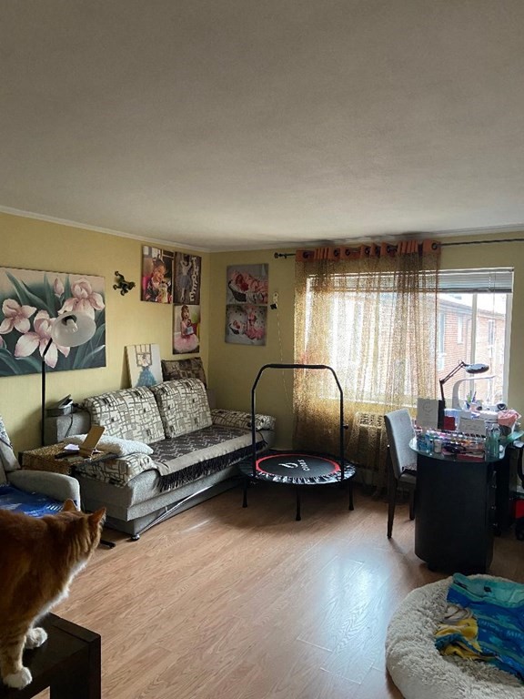 56 Bryon Road, Unit 6 Boston, MA 02467 - Photo 1 of 6 Gallery Image 1