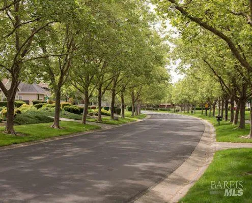 a view of street with large trees