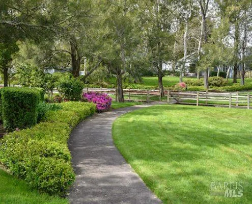 a view of a park with large trees