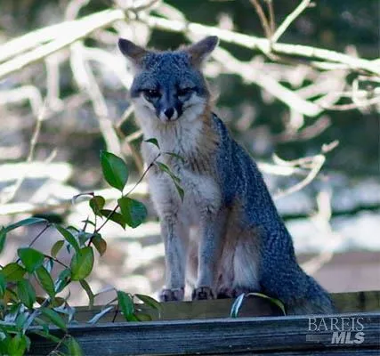 a vase of flowers sitting on a table