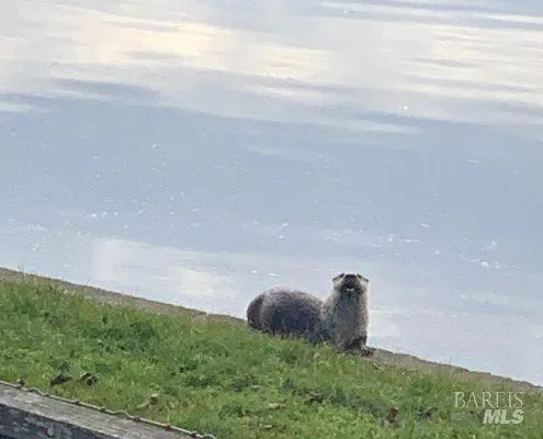 a view of a golf course with an outdoor space