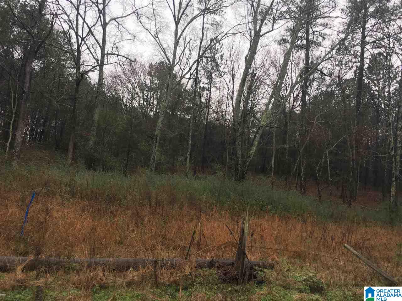 1245 Eureka Road, Unit 2 Lincoln, AL 35096 - Photo 5 of 32