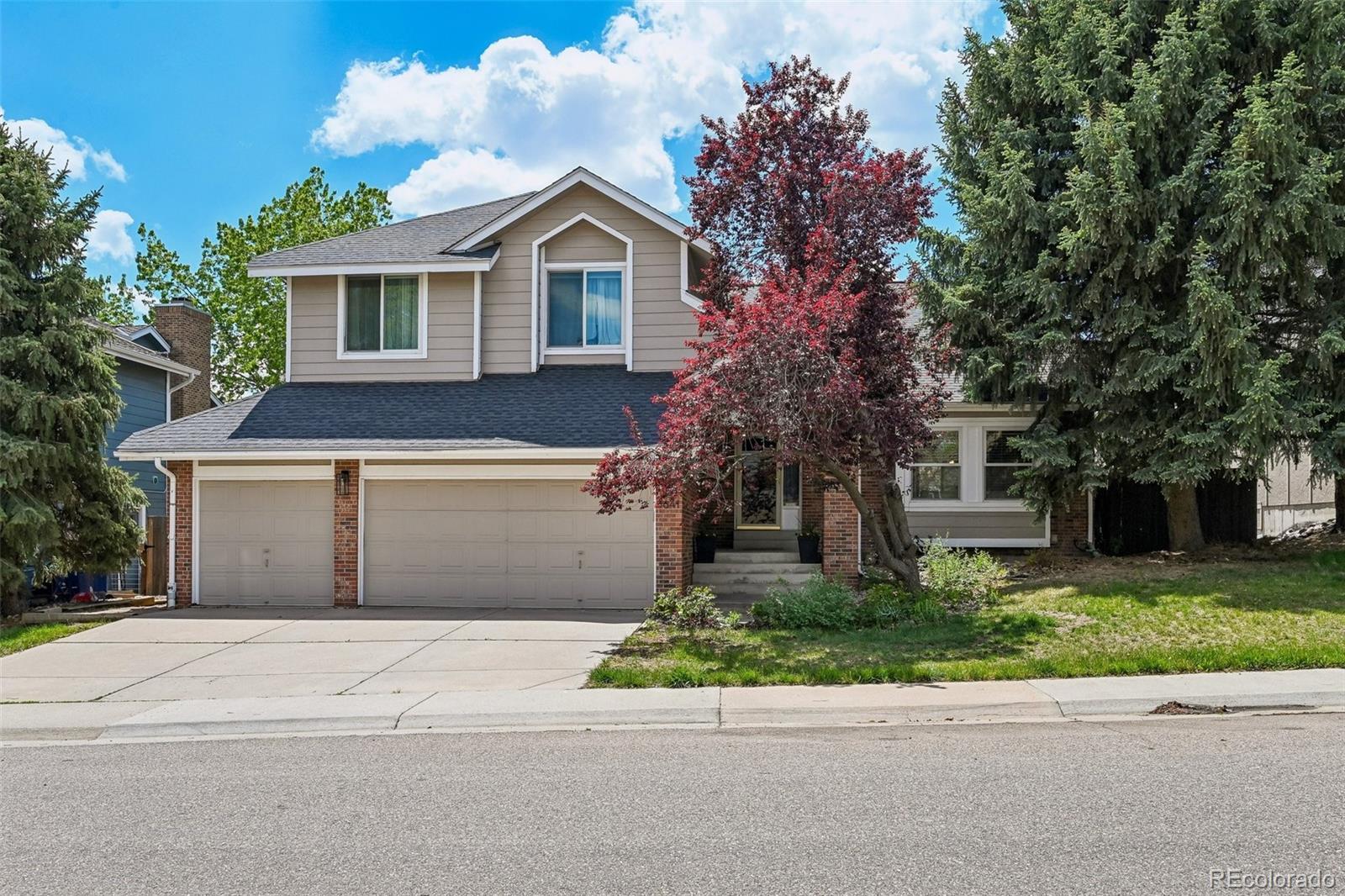 8641 Snowbrush Lane Highlands Ranch, CO 80126 - Photo 3 of 35