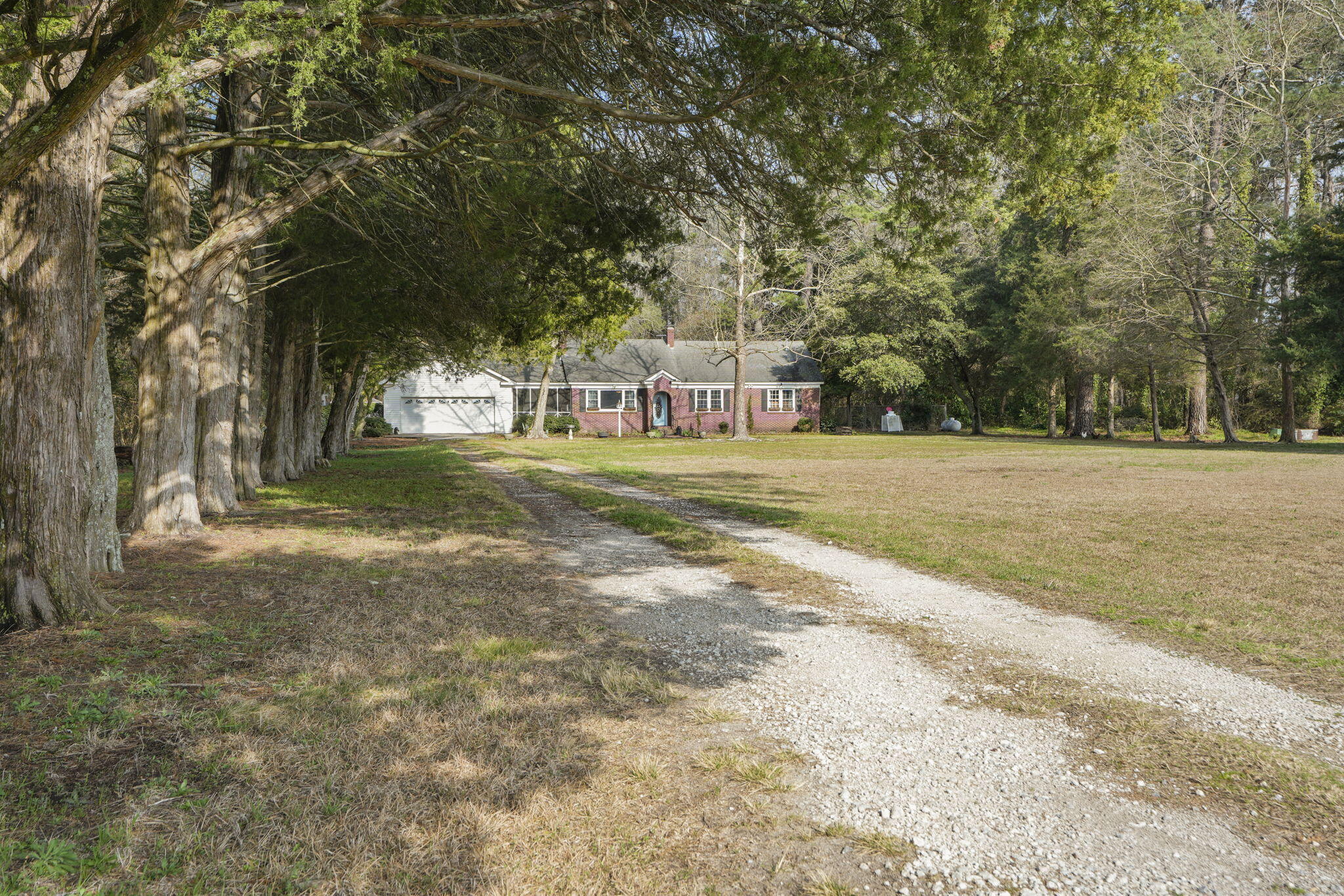 2407 Old State Road Cameron, SC 29030 - Photo 3 of 63 3-web-or-mls-DSC09834