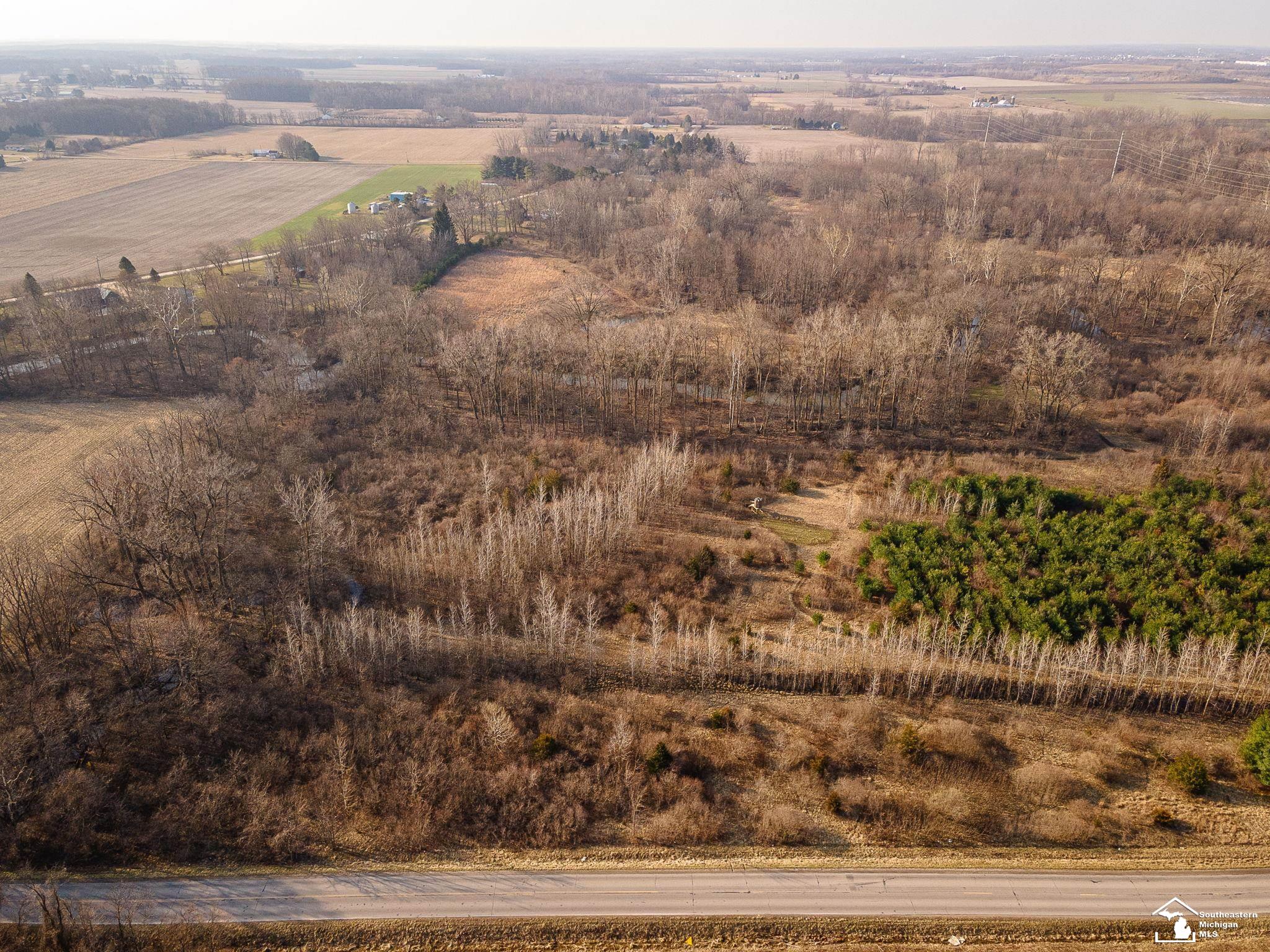 13343 Ostrander Road Maybee, MI 48159 - Photo 5 of 19