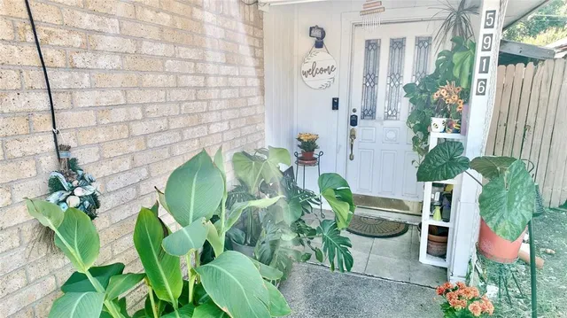 a potted plant sitting in front of a house
