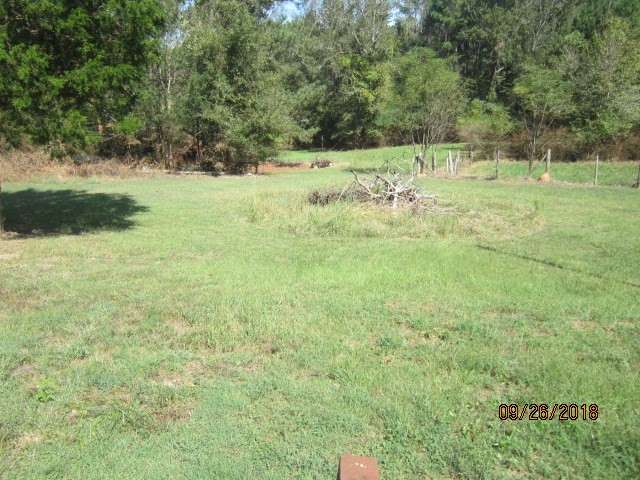 1235 Newtown Road Washington, GA 30673 - Photo 8 of 19