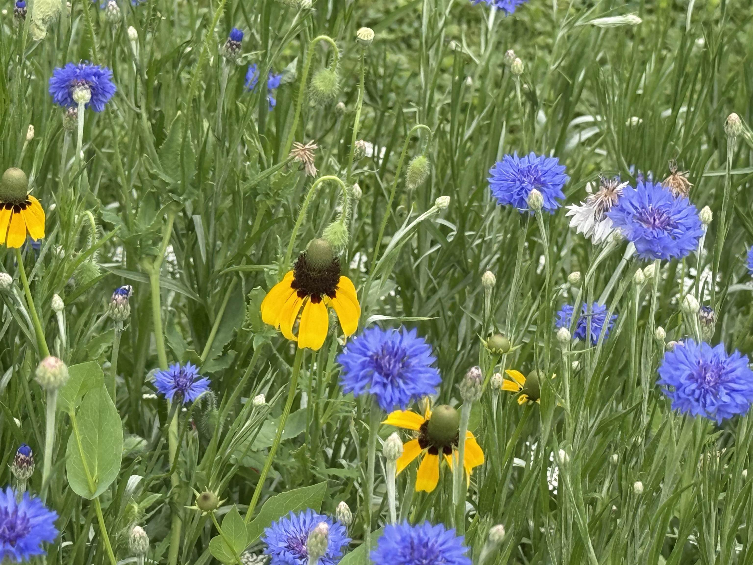 106 Mix Street Oregon, IL 61061 - Photo 14 of 49