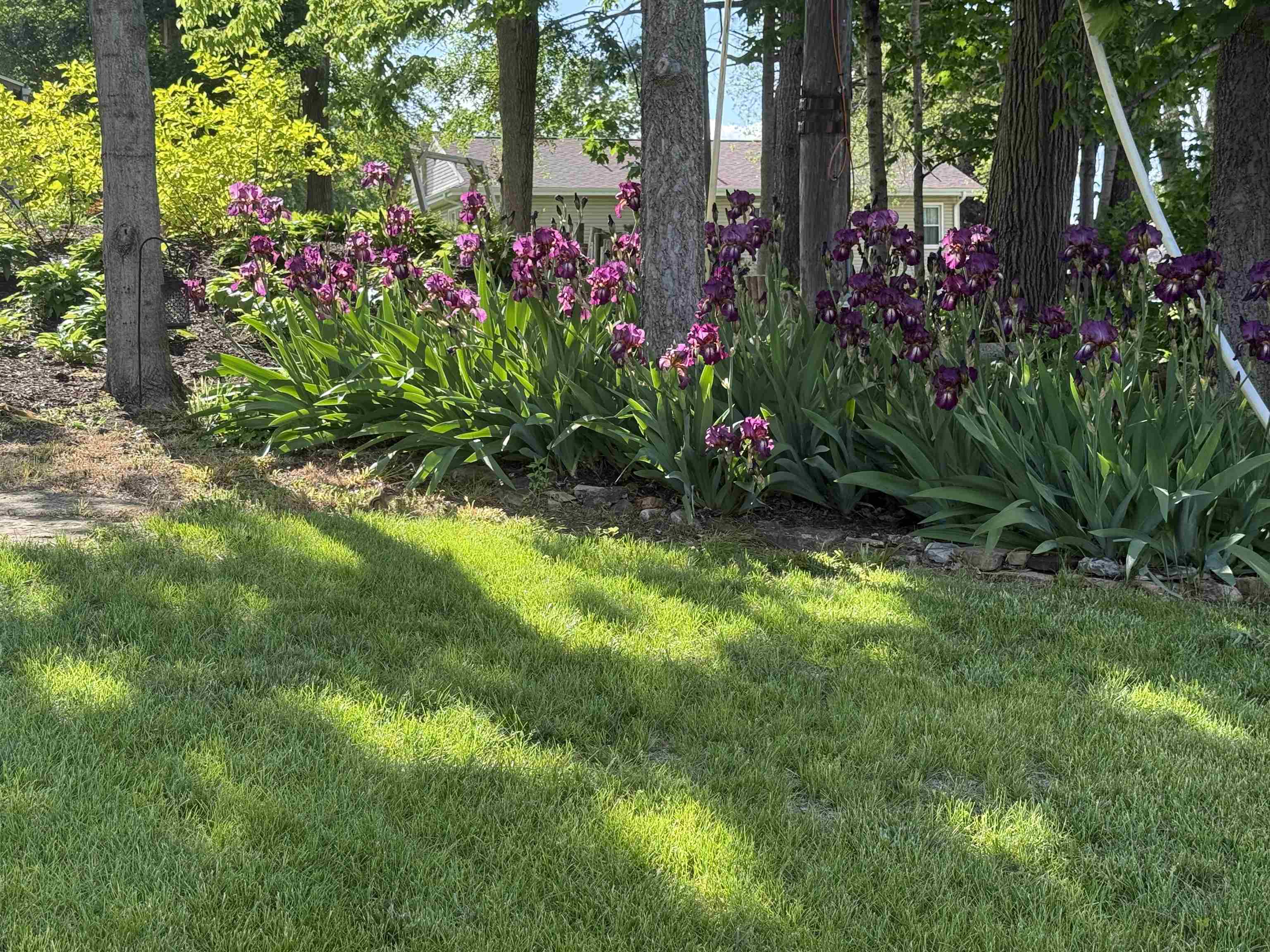 106 Mix Street Oregon, IL 61061 - Photo 40 of 49 a view of a flower garden in a backyard
