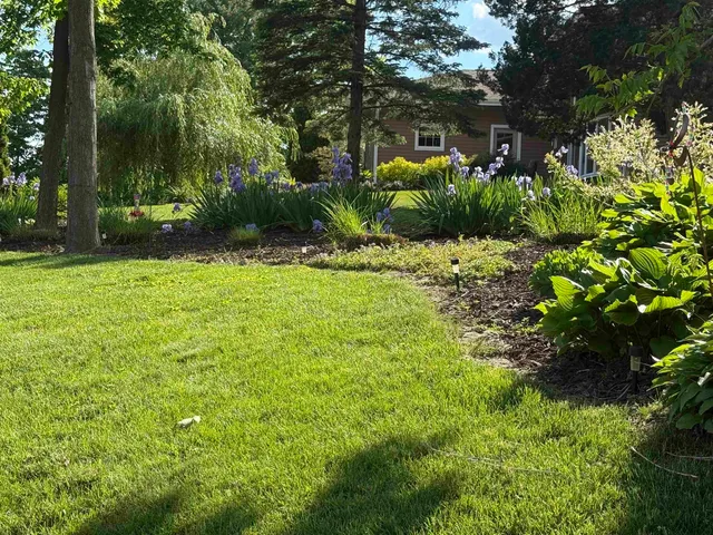 a view of a garden