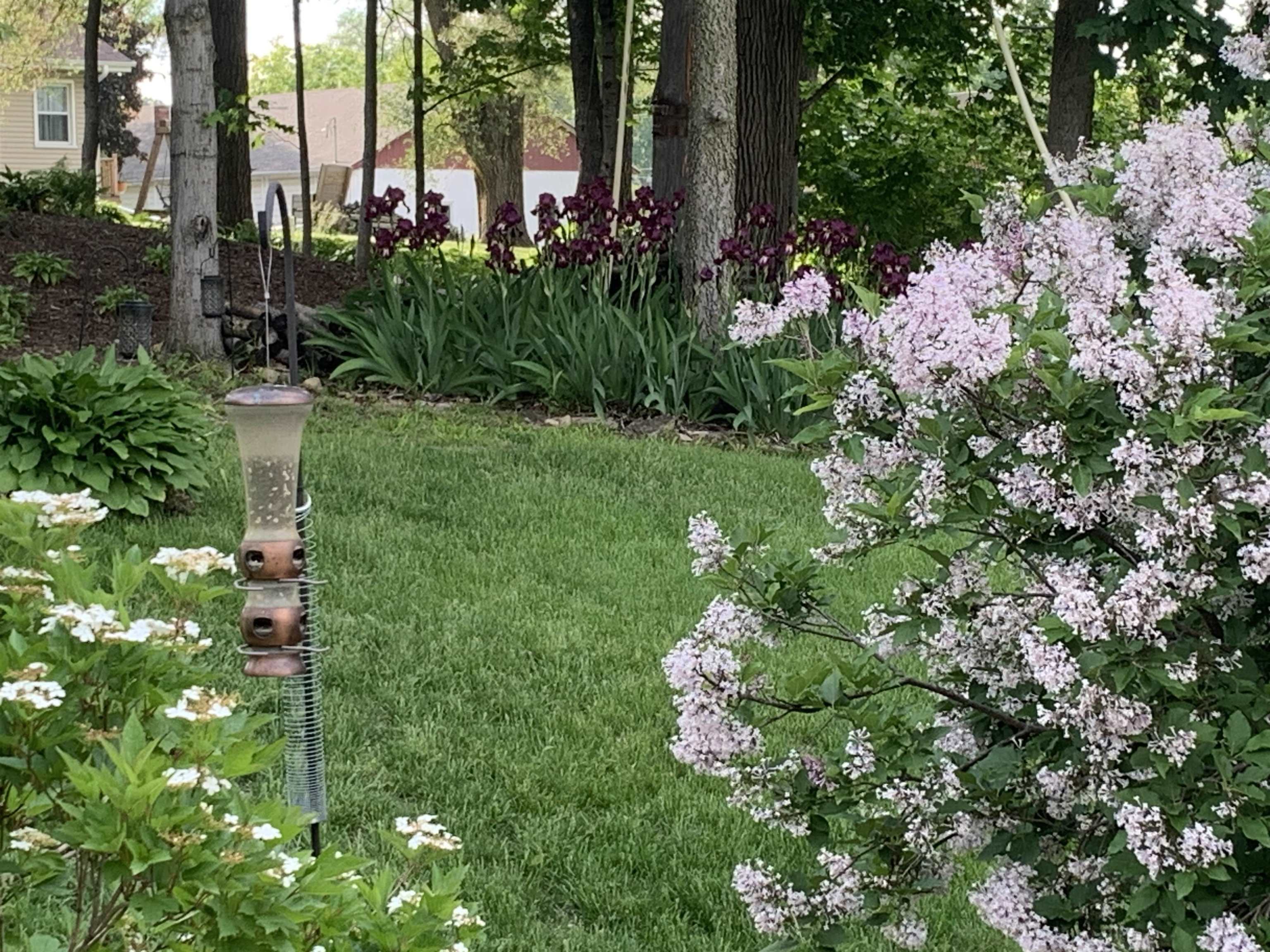 106 Mix Street Oregon, IL 61061 - Photo 44 of 49 a view of a tree with a flower garden