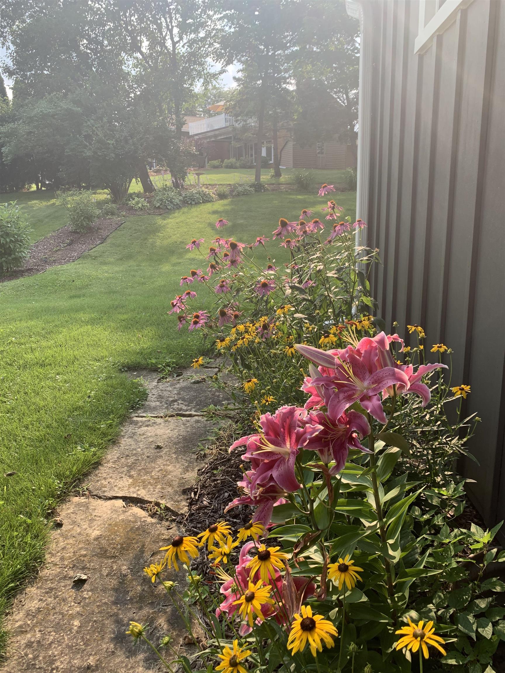 106 Mix Street Oregon, IL 61061 - Photo 45 of 49 a view of a flower