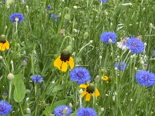 a view of a pool with sitting area