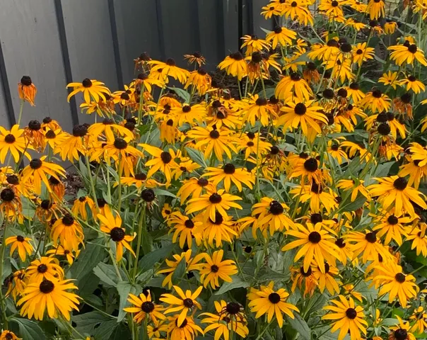 $175,000 | 106 Mix Street, Oregon, IL 61061