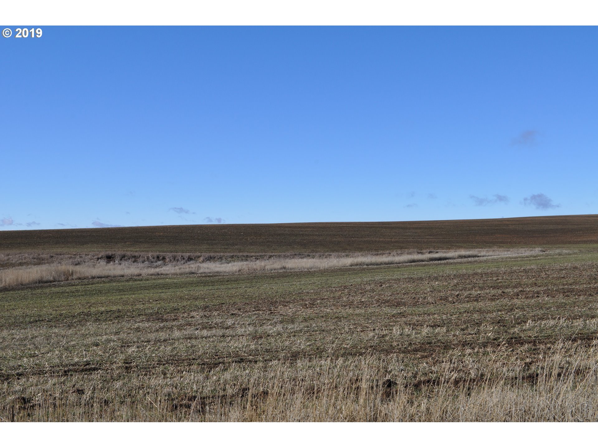 3 Spurs Loop, Unit 16 Goldendale, WA 98620 - Photo 2 of 6 Gallery Image 2