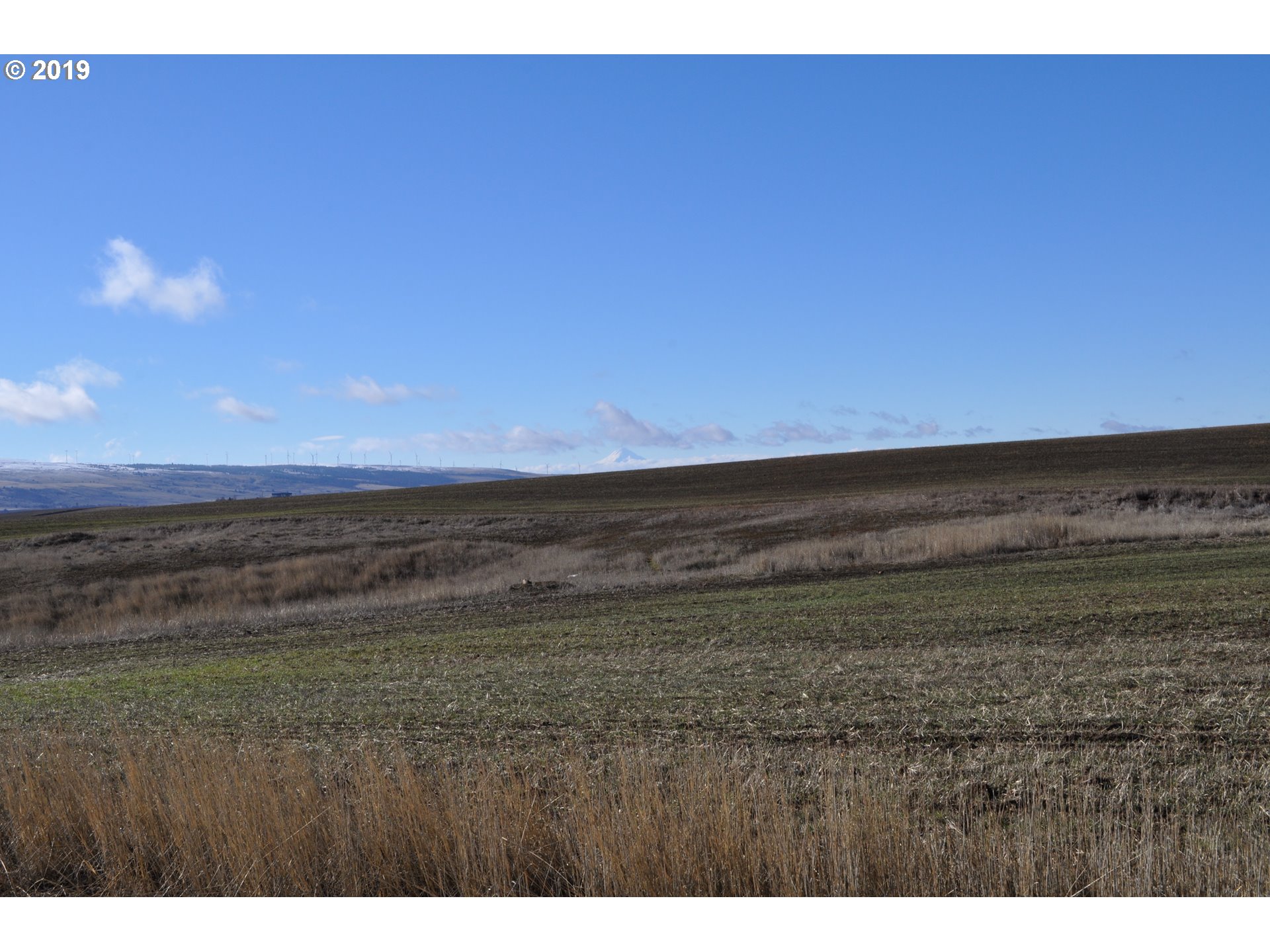3 Spurs Loop, Unit 16 Goldendale, WA 98620 - Photo 3 of 6 Gallery Image 3