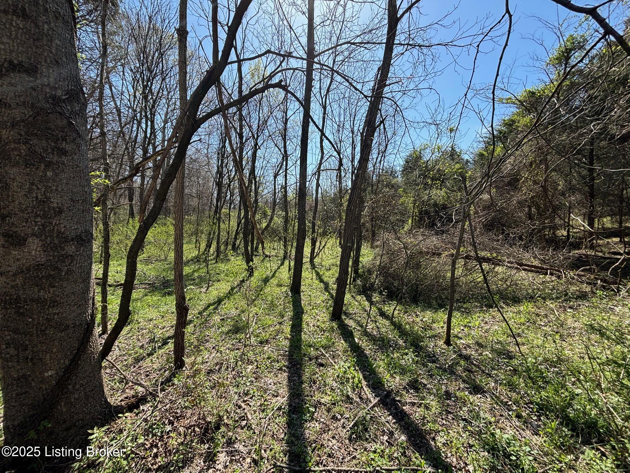 523 Roach Road Webster, KY 40176 - Photo 20 of 22 IMG_2613