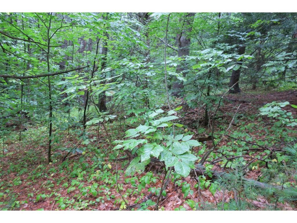 34 Moulton Ridge Road, Unit 49 Kensington, NH 03833 - Photo 3 of 6