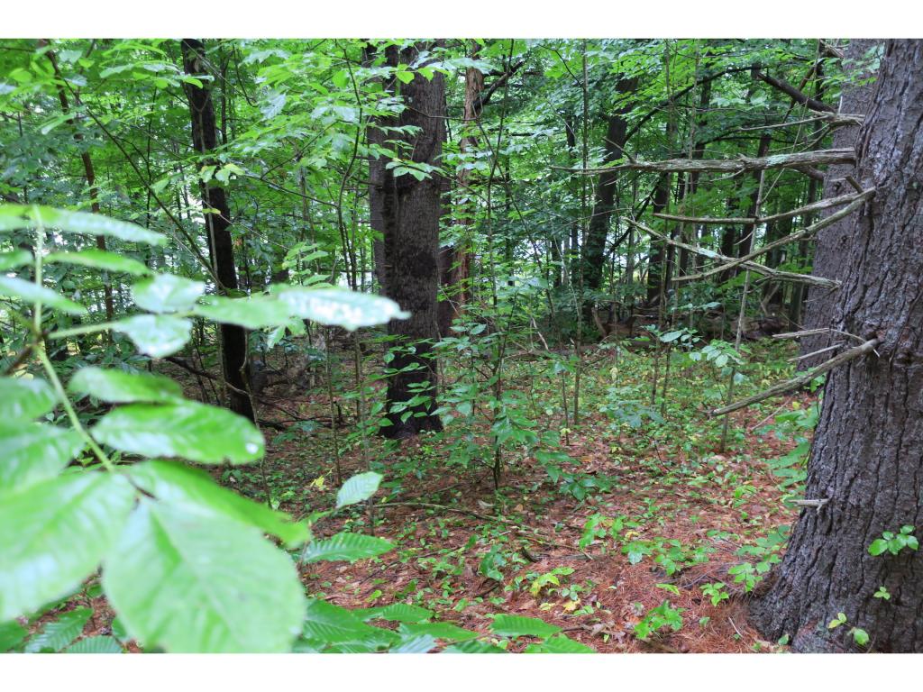 34 Moulton Ridge Road, Unit 49 Kensington, NH 03833 - Photo 4 of 6