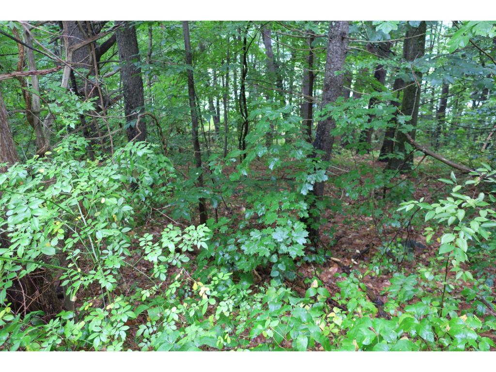 34 Moulton Ridge Road, Unit 49 Kensington, NH 03833 - Photo 5 of 6