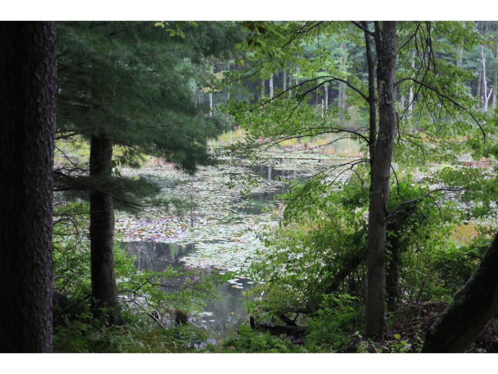 34 Moulton Ridge Road, Unit 49 Kensington, NH 03833 - Photo 6 of 6