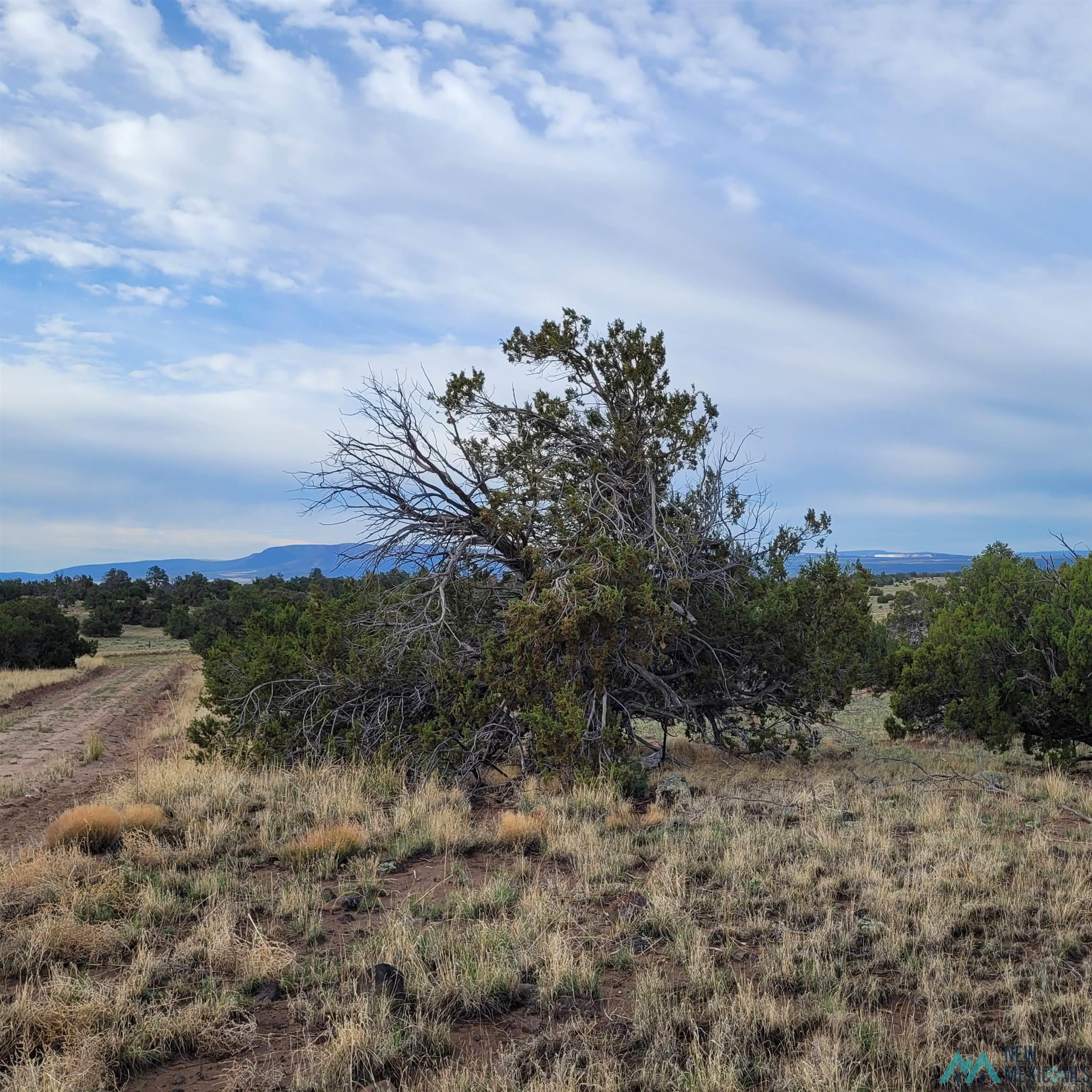 Xx Xx Indian Road Quemado, NM 87829 - Photo 11 of 11 Mountain view featuring rural landscape