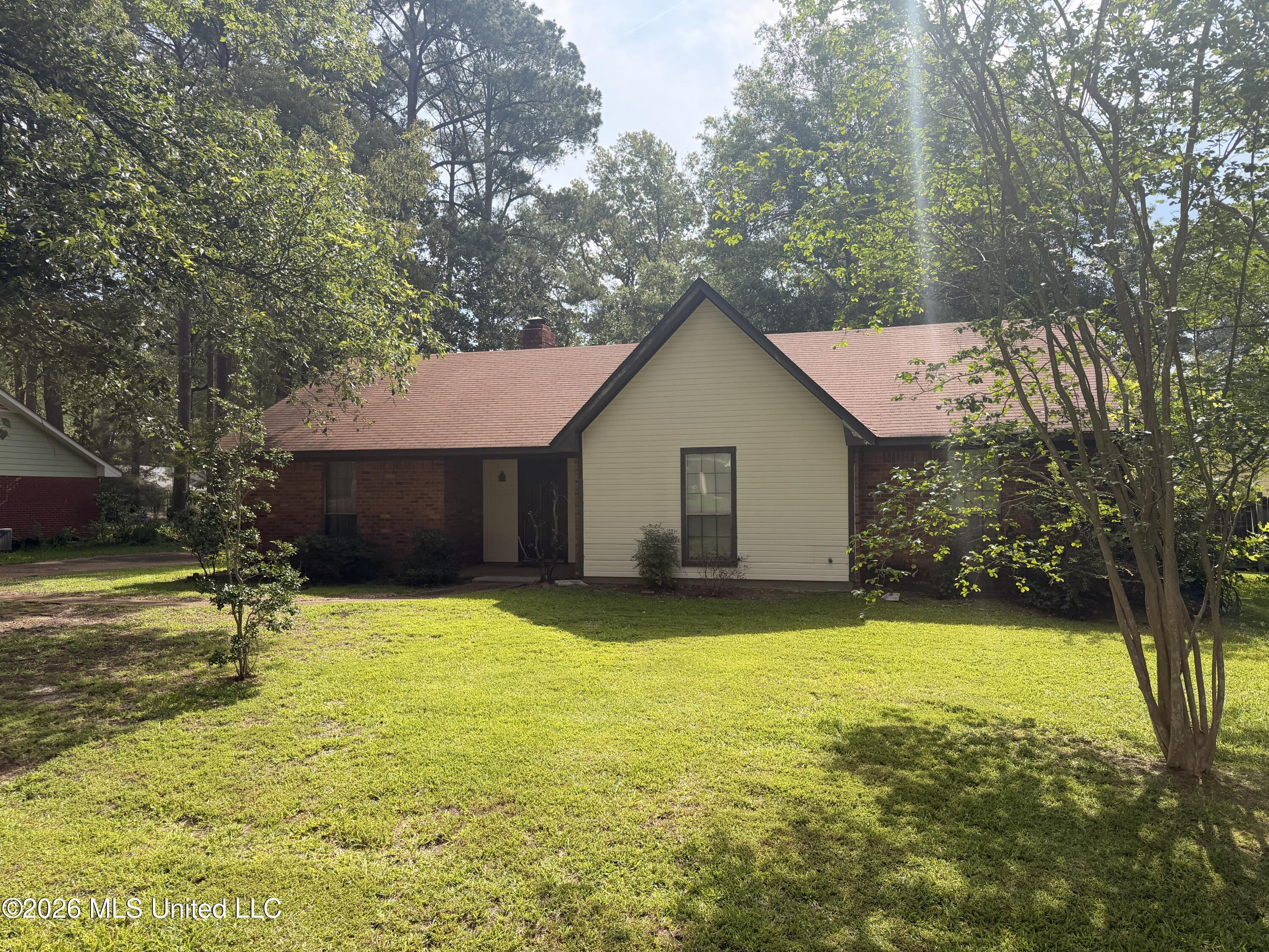 141 Plum Tree Road Brandon, MS 39047 - Photo 3 of 16 IMG_2525