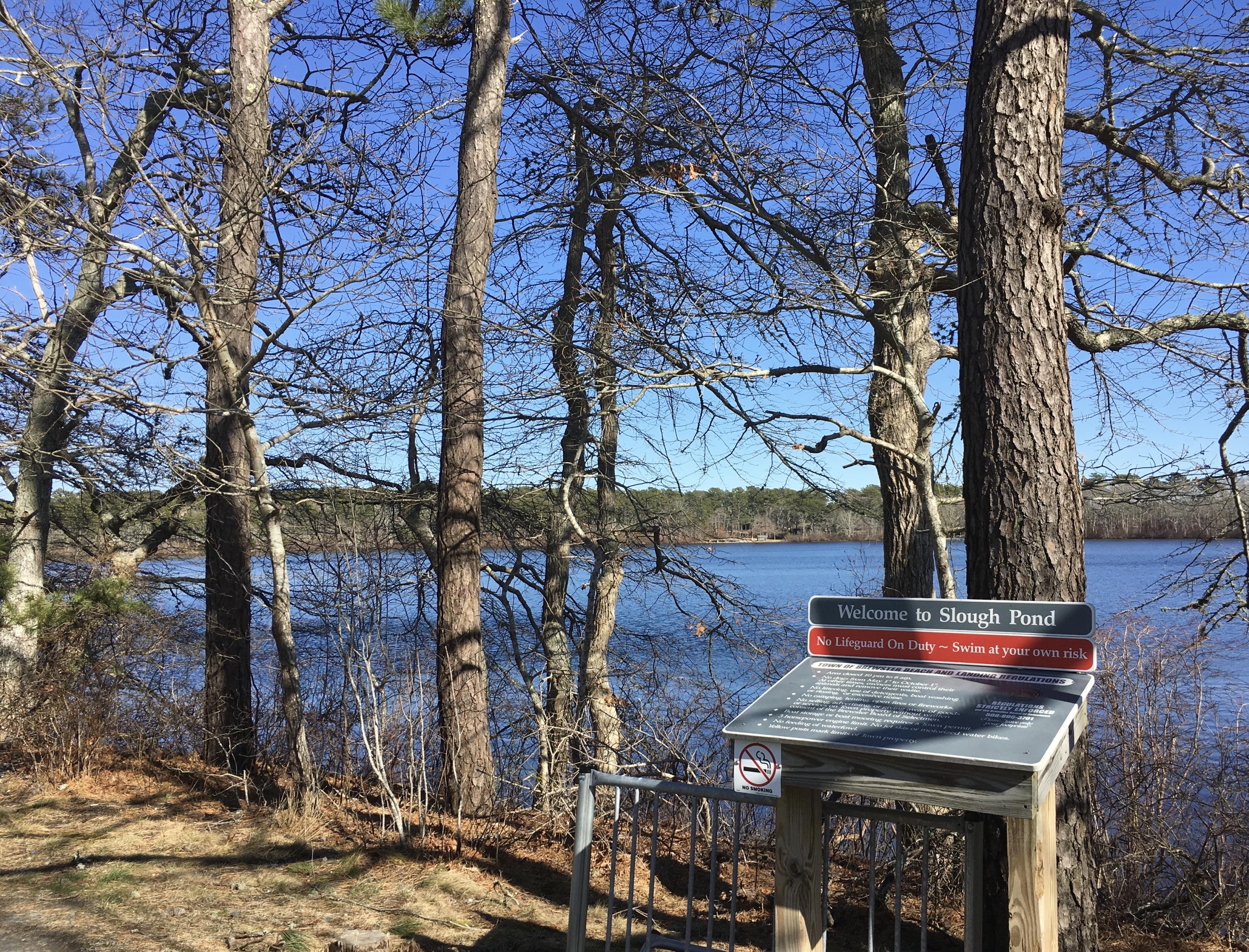 0 Old Red Top Road Brewster, MA 02631 - Photo 5 of 10 Town Landing