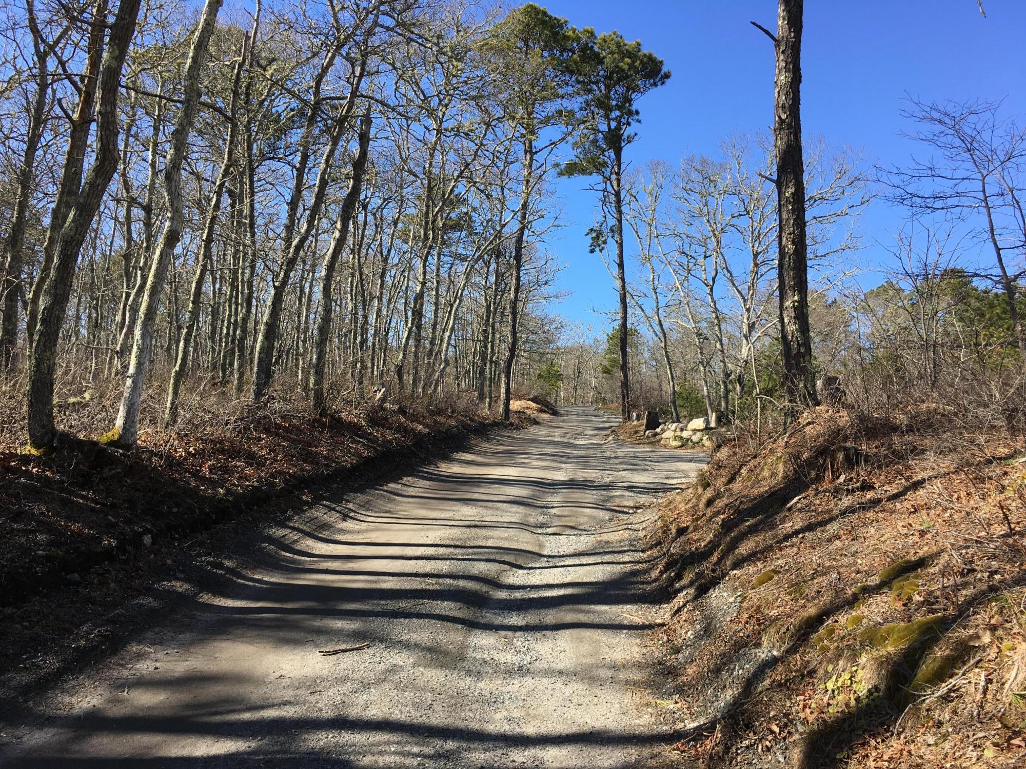 0 Old Red Top Road Brewster, MA 02631 - Photo 7 of 10 old Red Top Road