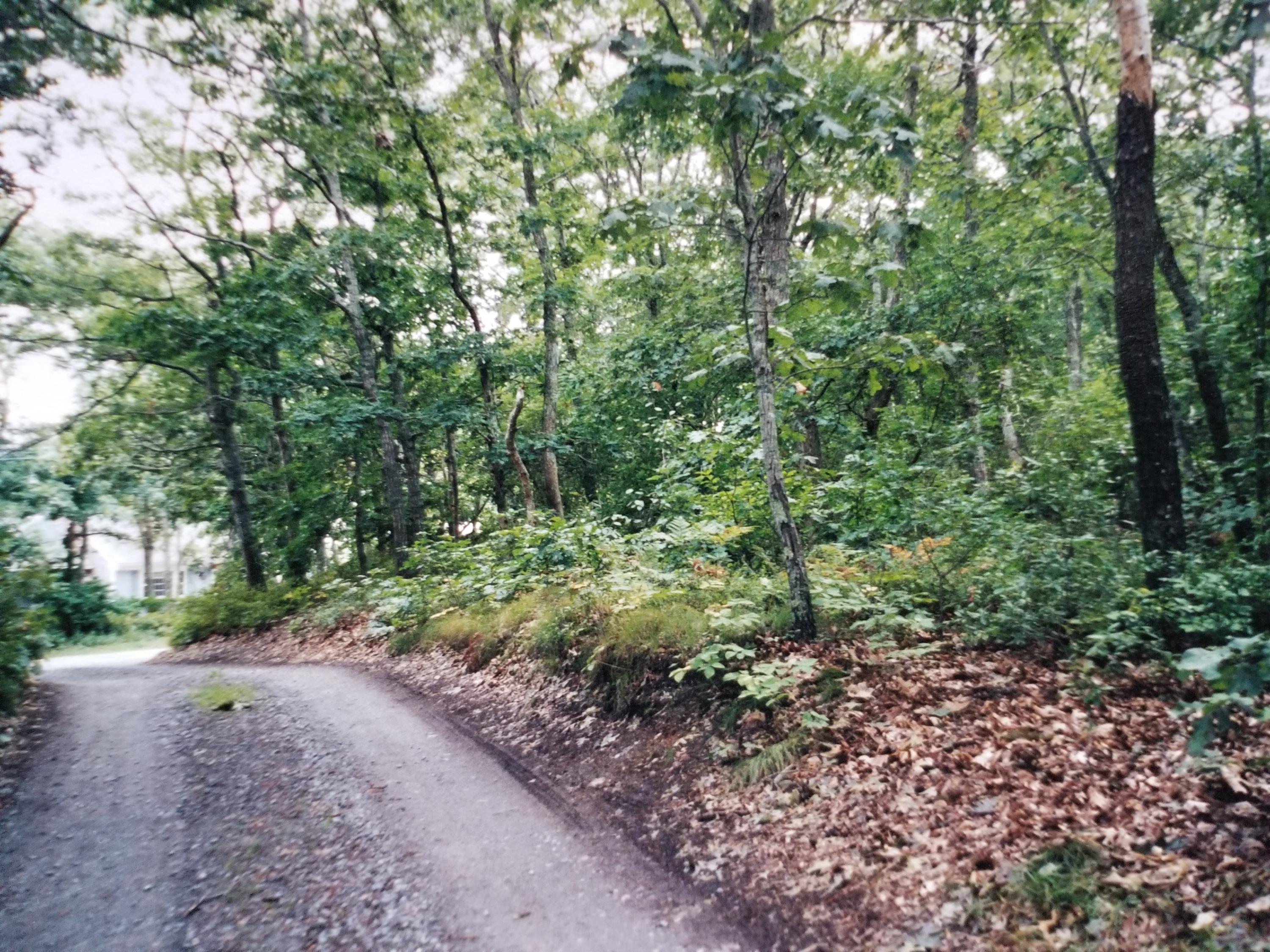 0 Old Red Top Road Brewster, MA 02631 - Photo 10 of 10 Old Red Rop
